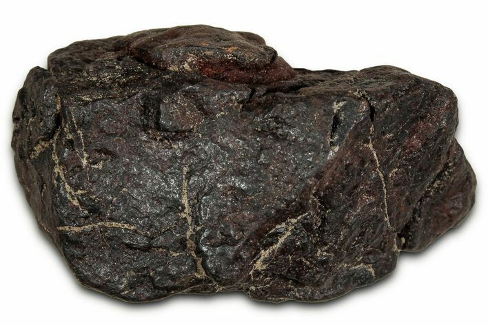 Canyon Diablo Iron Meteorite ( g) - Arizona #356019